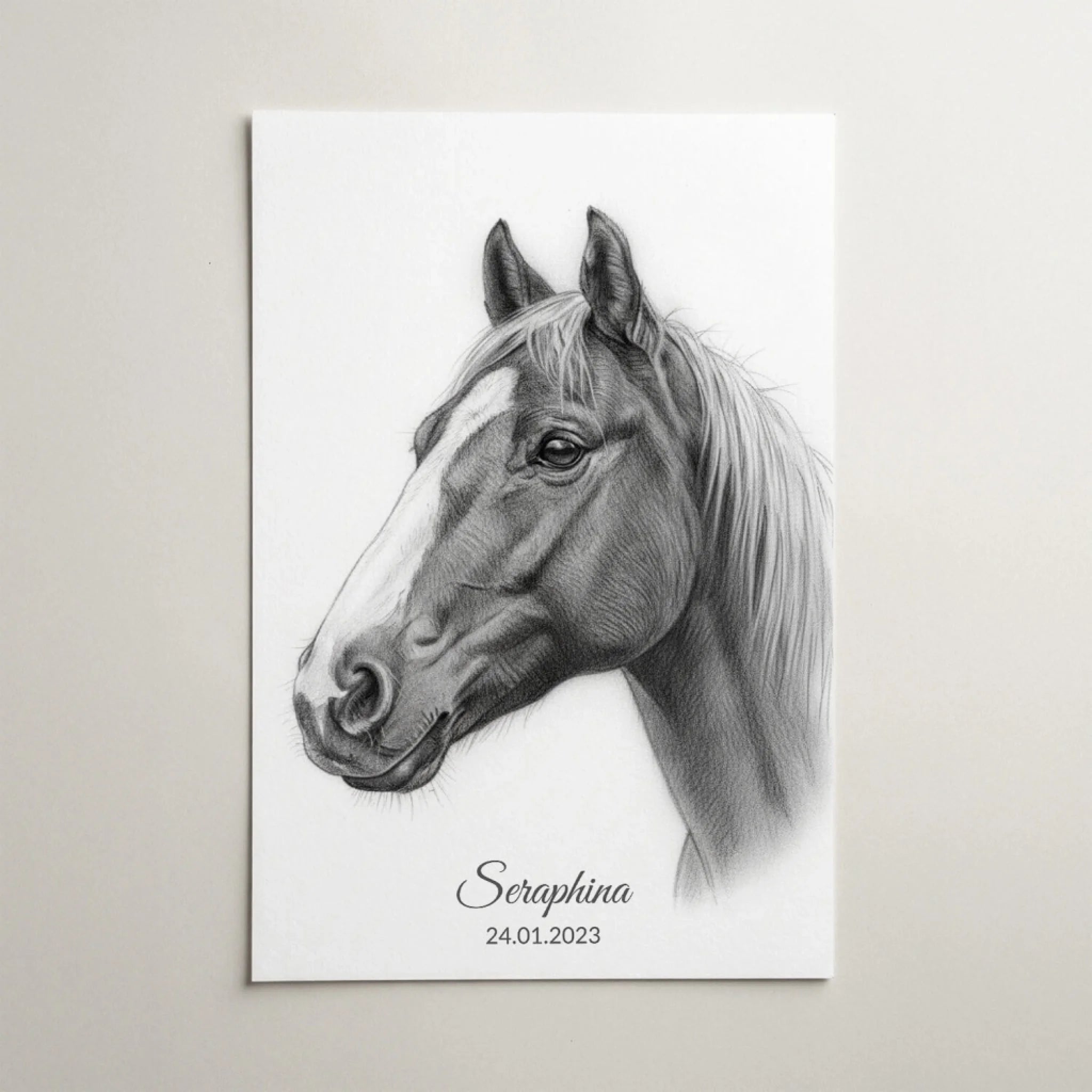 katzenportrait-als-poster-personalisiert