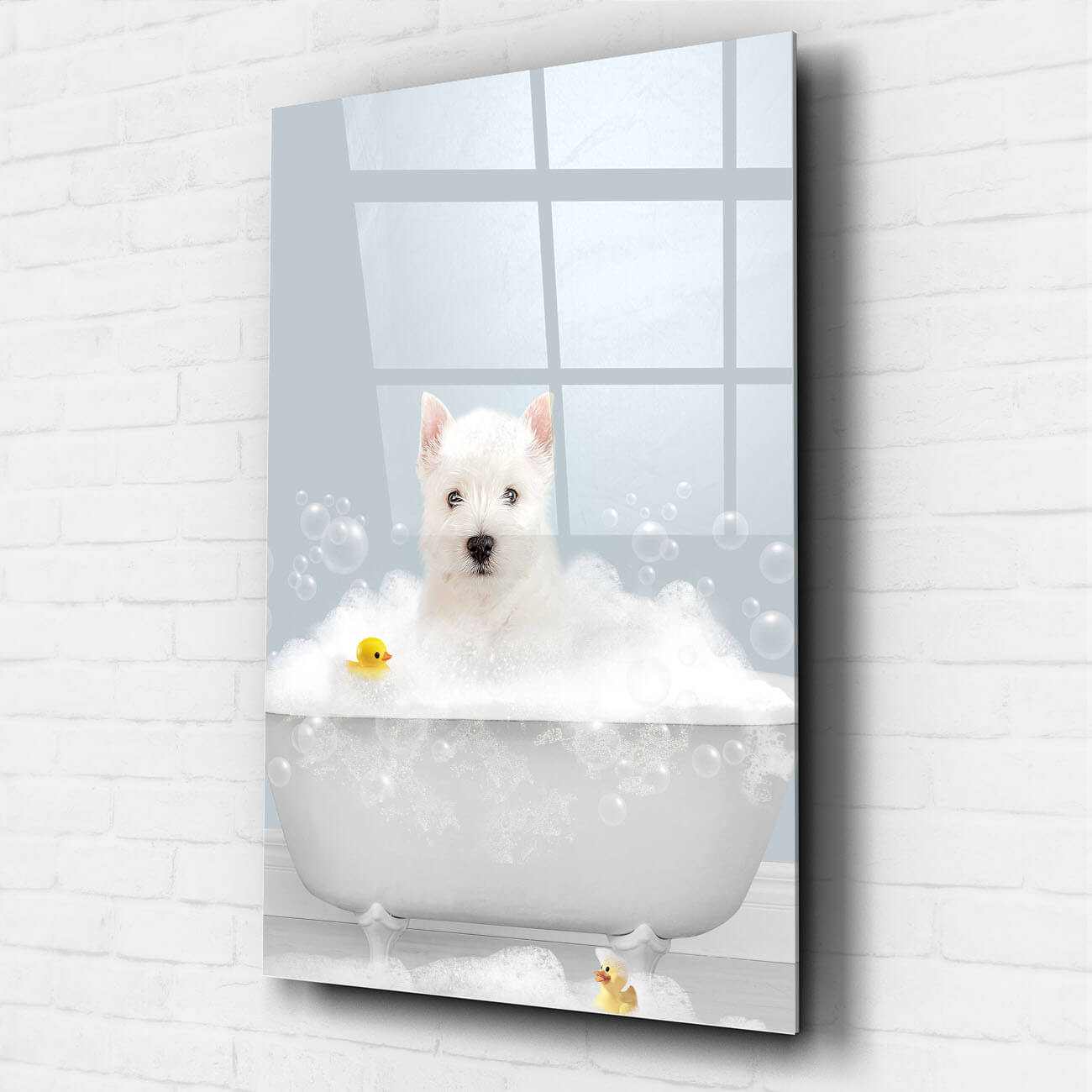 Lustiges Tierportrait Badezimmer Acrylglas