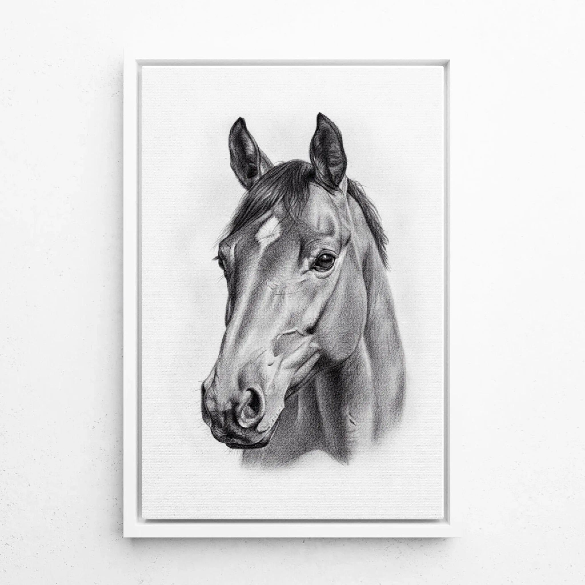 katzenportrait-leinwand-rahmen