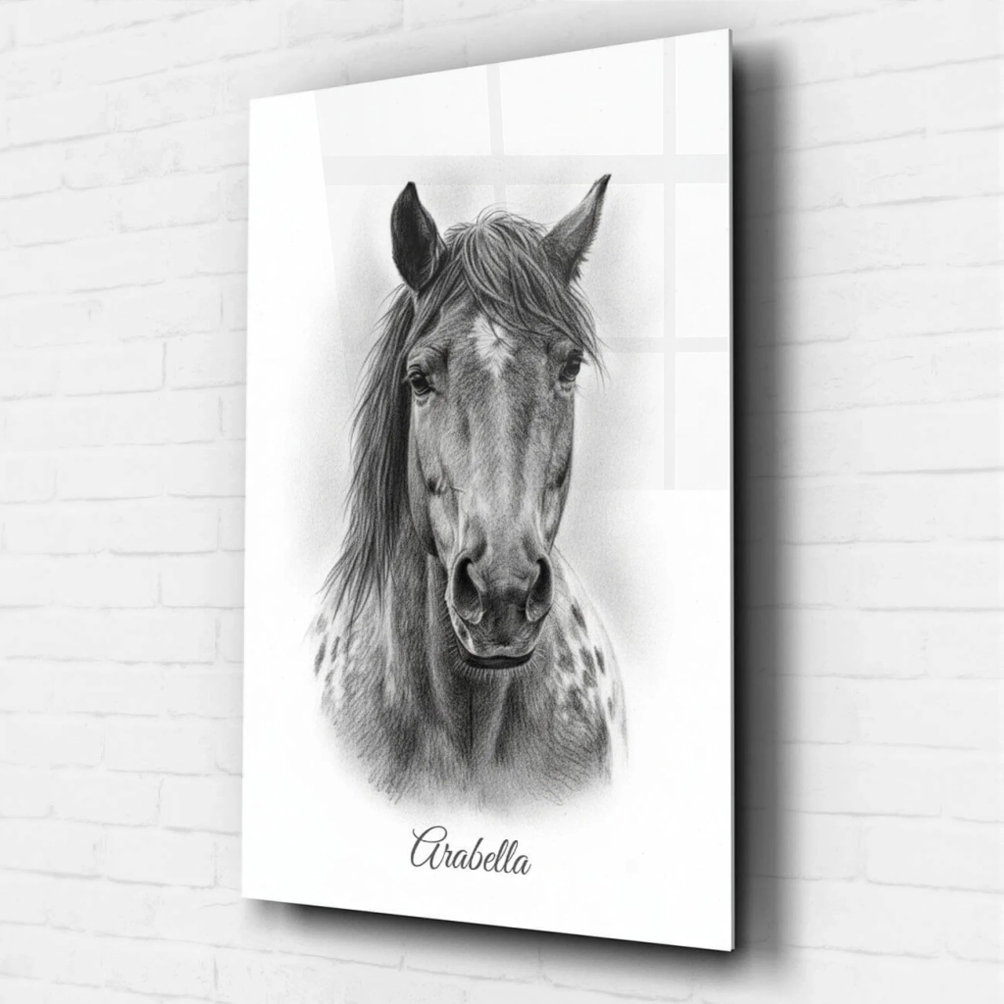 katzenportrait-acrylglas-personalisiert