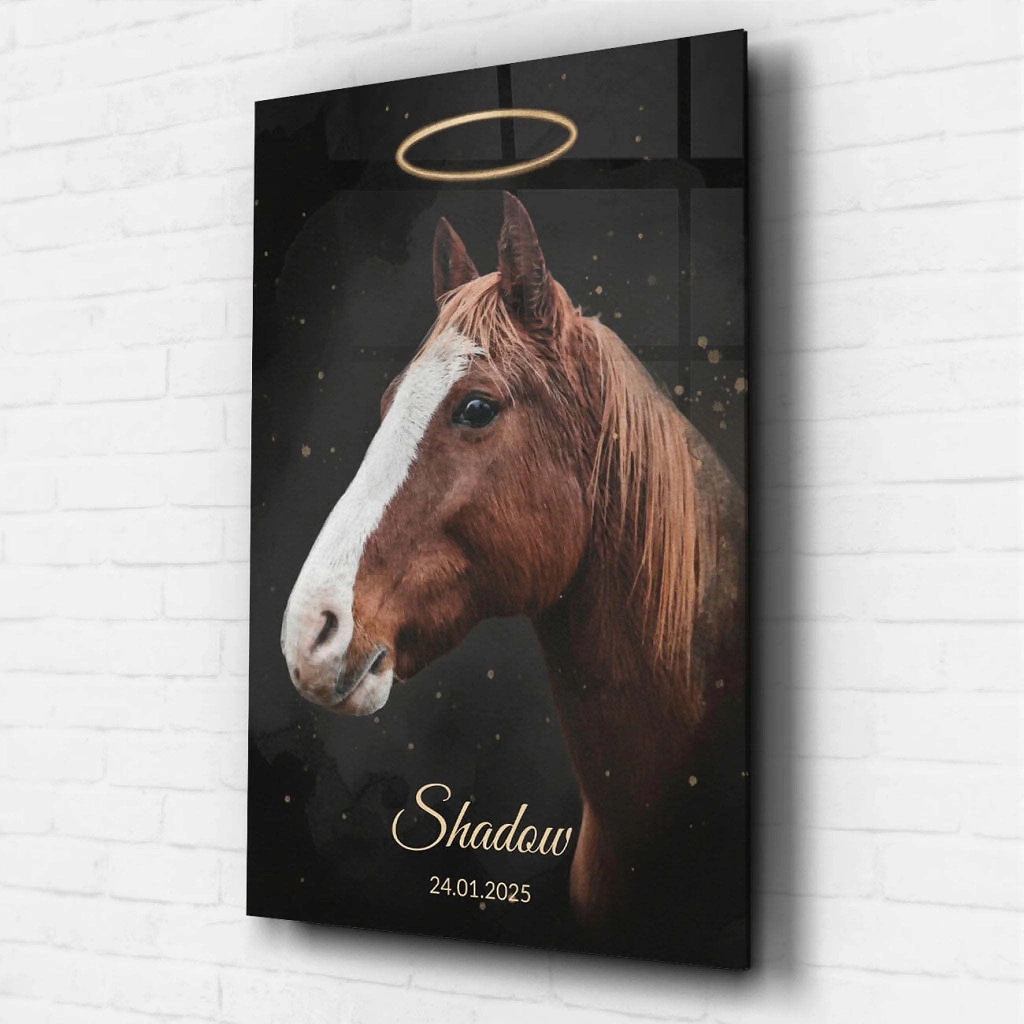 hundeportrait-acrylglas 16.08.46