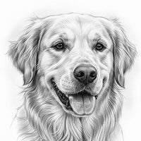 Tierportrait Bleistift