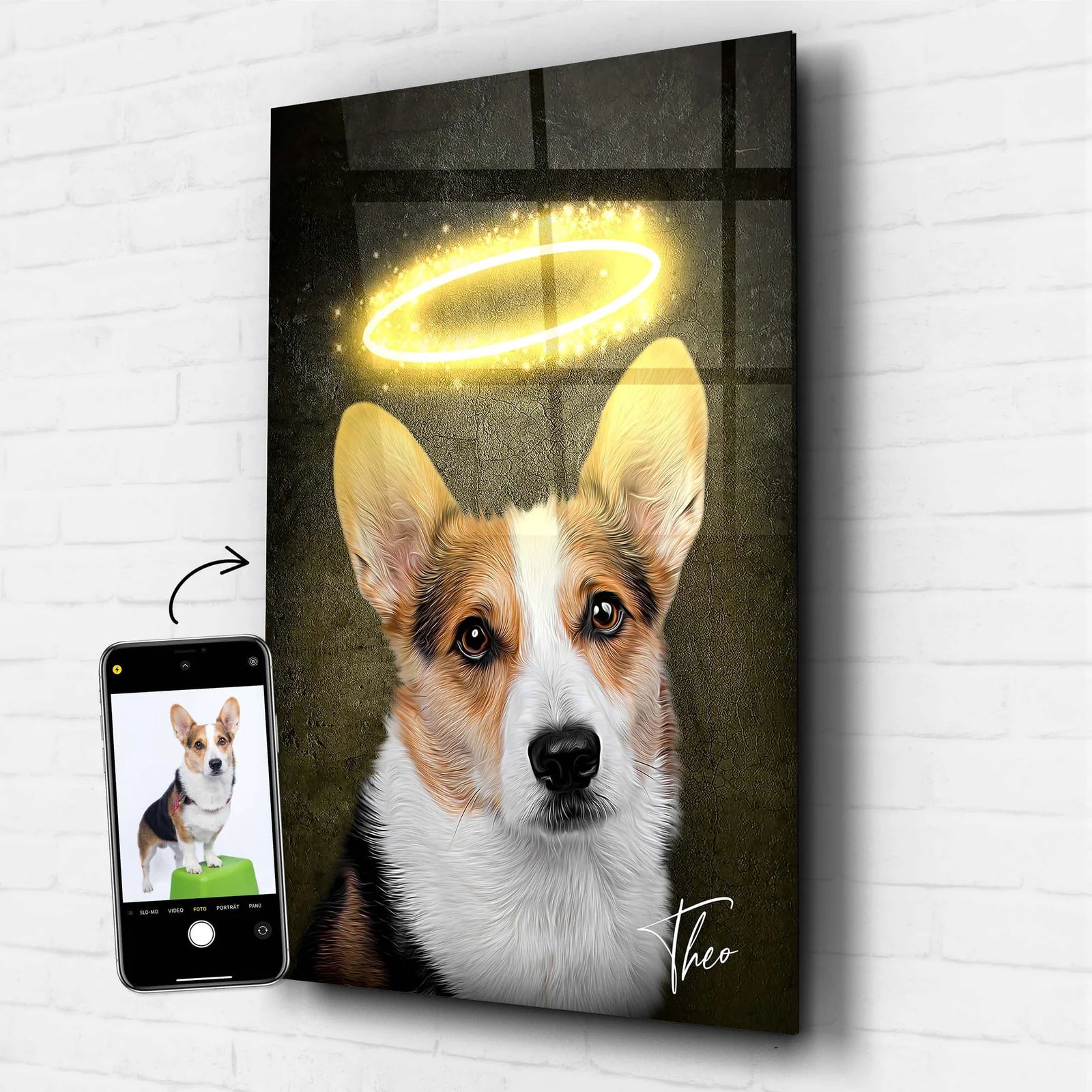 Tierportrait mit Heiligenschein