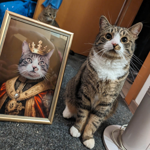 Kostüm Katzenportrait