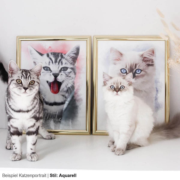 Katzenportraits personalisiert